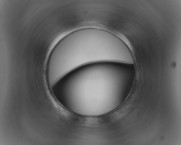 X0000090991144200708021157