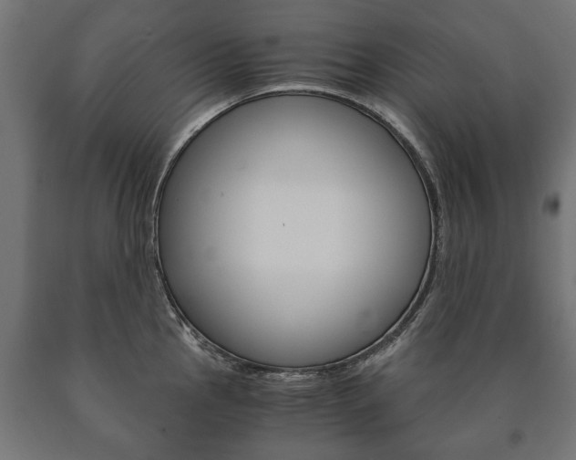 X0000090991145200708021157