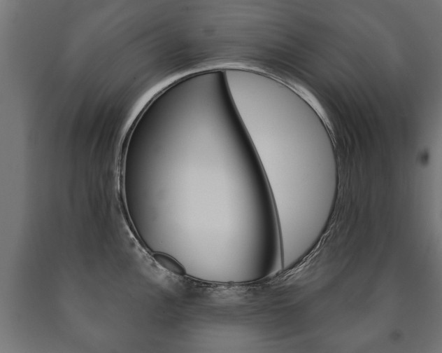 X0000090991148200708021157
