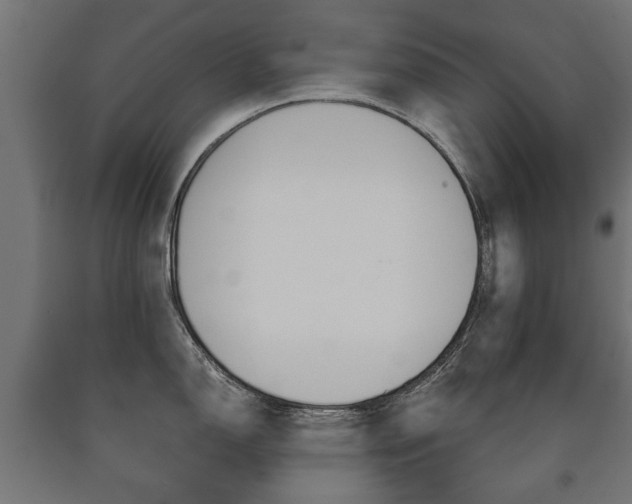 X0000090991150200708021157