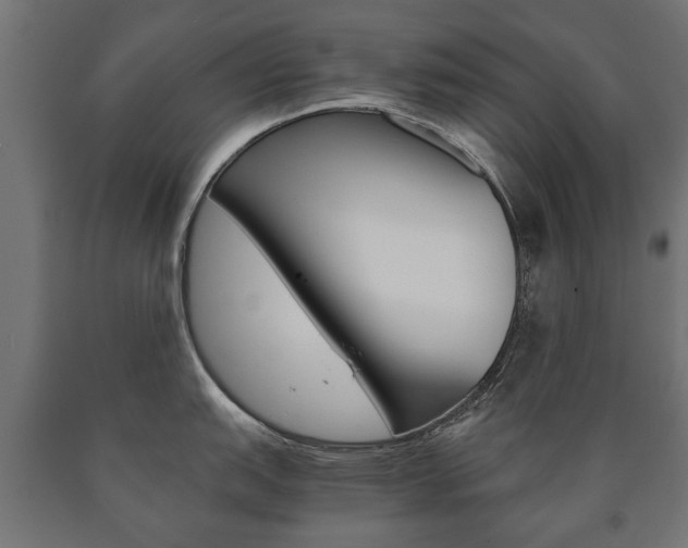 X0000090991151200708021157