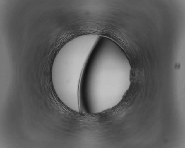 X0000090991153200708021157