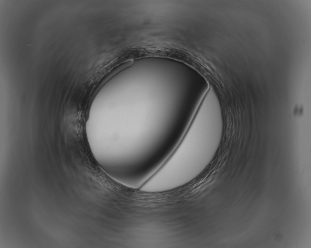 X0000090991156200708021157