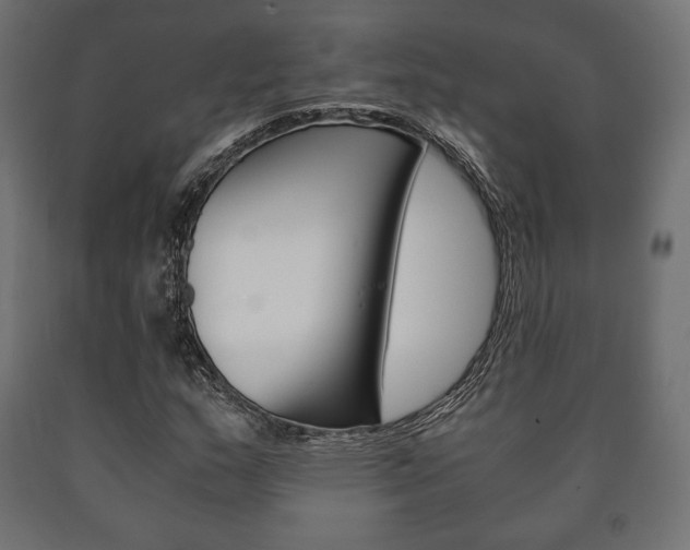 X0000090991159200708021157