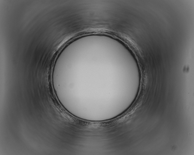 X0000090991162200708021157