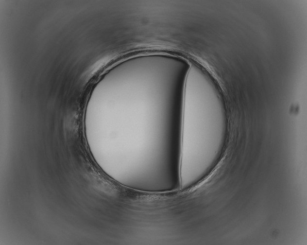 X0000090991163200708021157