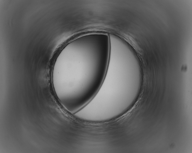 X0000090991164200708021157