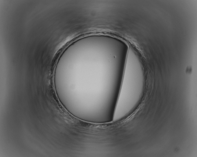 X0000090991165200708021157