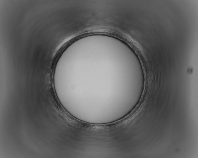 X0000090991166200708021156