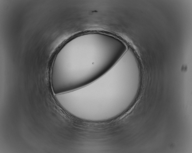 X0000090991167200708021156