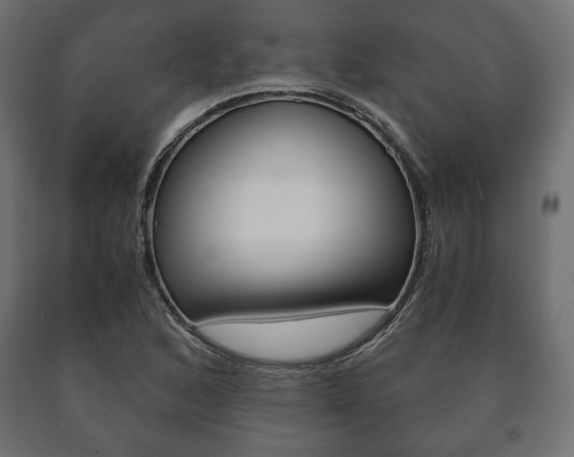 X0000090991168200708021156