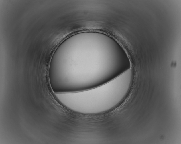 X0000090991169200708021156