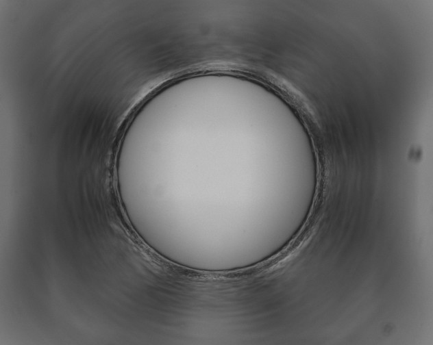X0000090991170200708021156