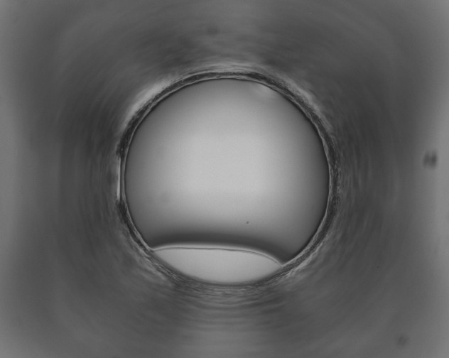 X0000090991171200708021156