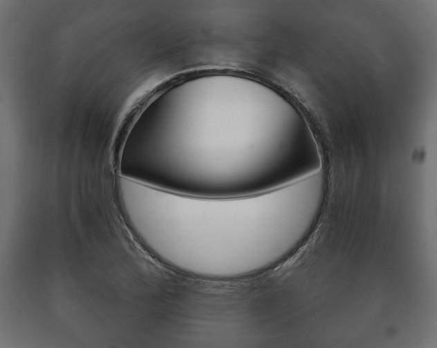 X0000090991172200708021156