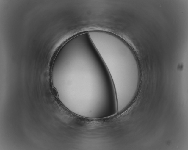 X0000090991173200708021156