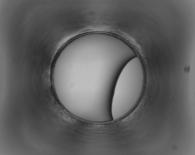 X0000090991174200708021156