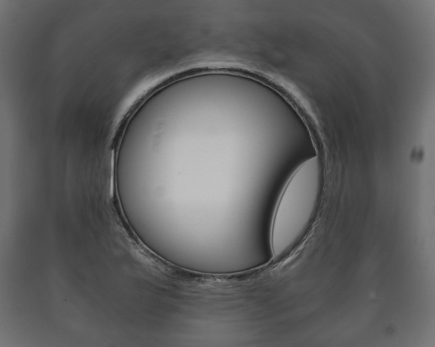 X0000090991175200708021156