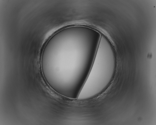 X0000090991176200708021156
