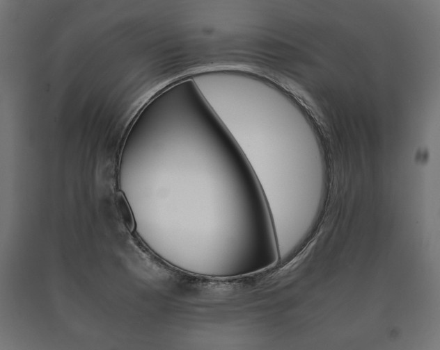 X0000090991177200708021156