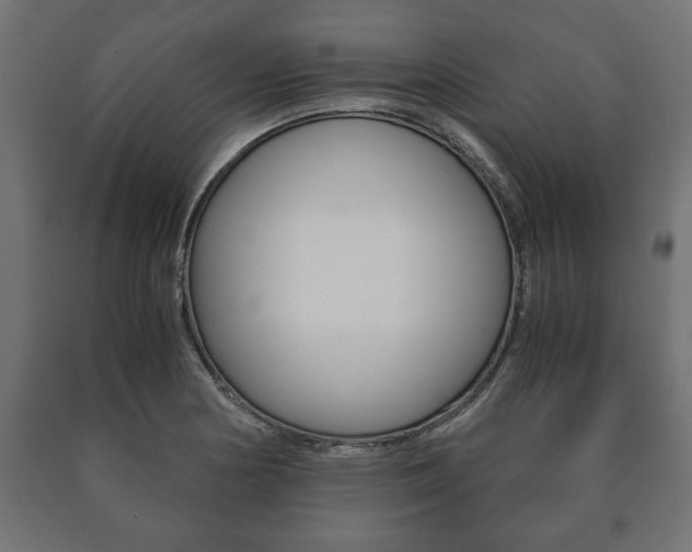 X0000090991178200708021156