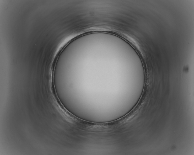 X0000090991179200708021156