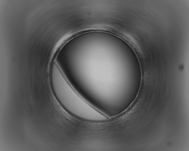 X0000090991180200708021156