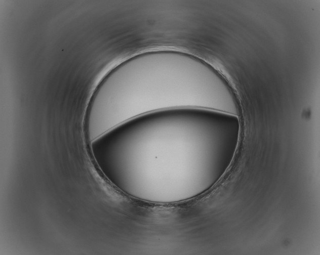 X0000090991181200708021156