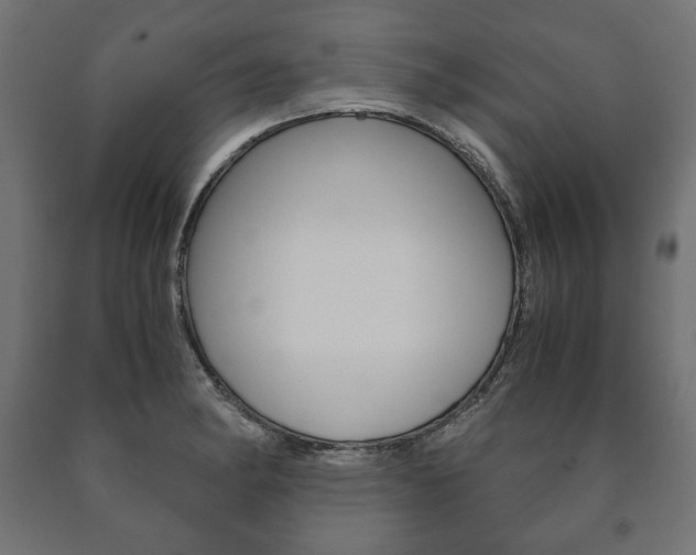 X0000090991182200708021156