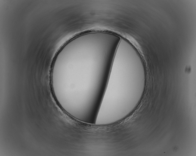X0000090991183200708021156