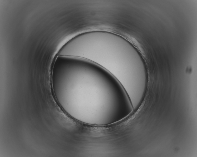 X0000090991184200708021156