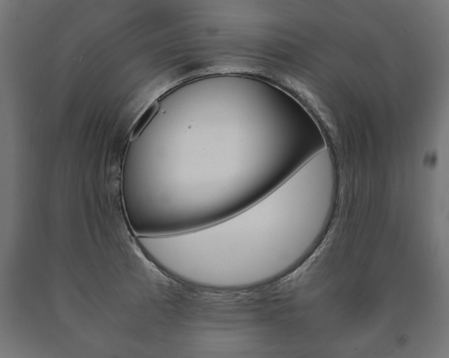 X0000090991185200708021156