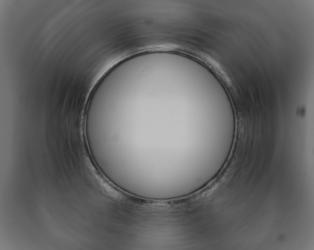 X0000090991186200708021156