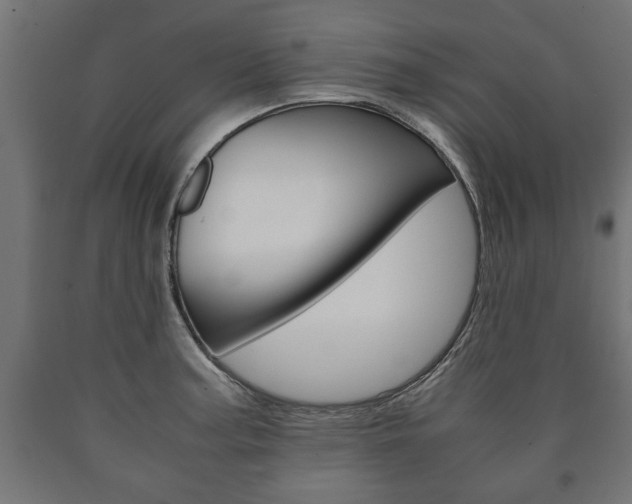 X0000090991187200708021156