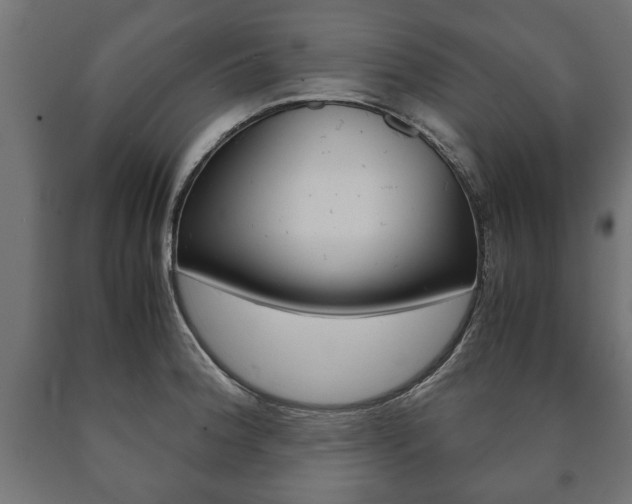 X0000090991188200708021156