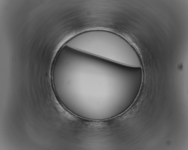 X0000090991189200708021156