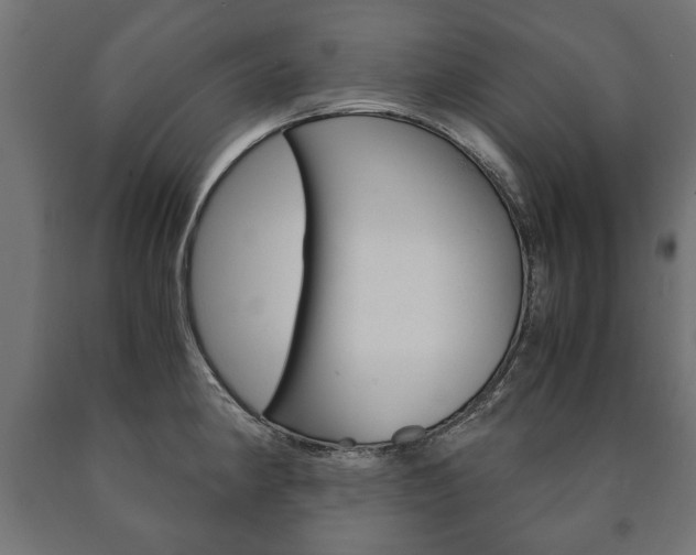 X0000090991190200708021156