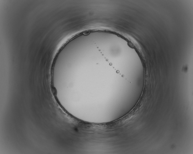 X0000090991191200708021156