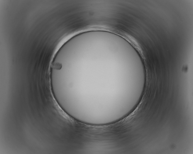 X0000090991192200708021156