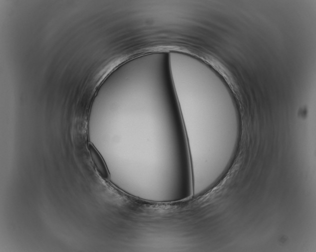 X0000090991193200708021156