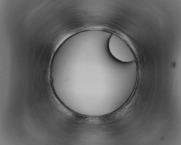 X0000090991194200708021156