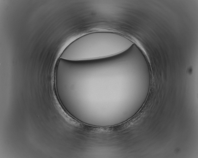 X0000090991195200708021156