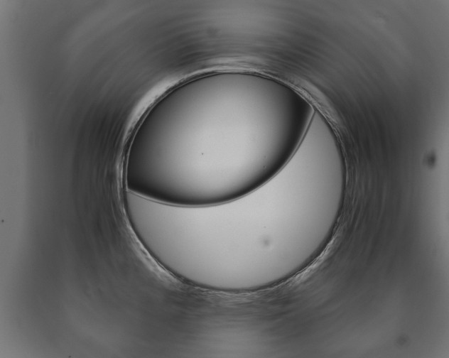 X0000090991196200708021156