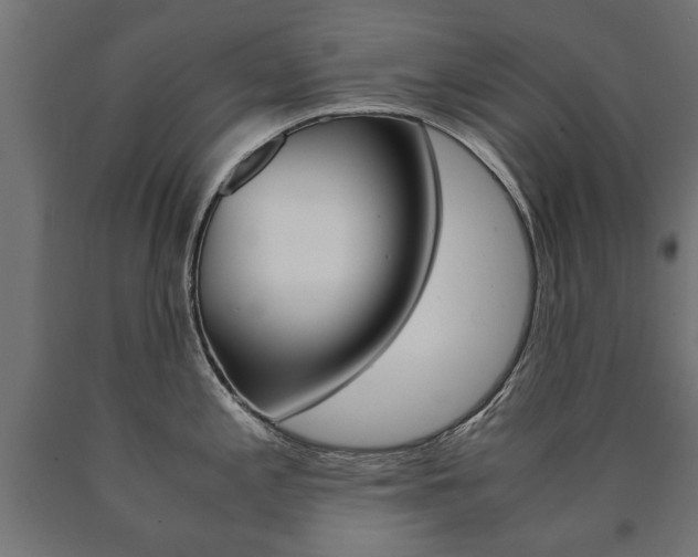 X0000090991197200708021156