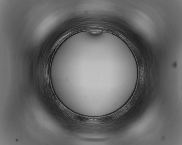 X0000090991198200708021156