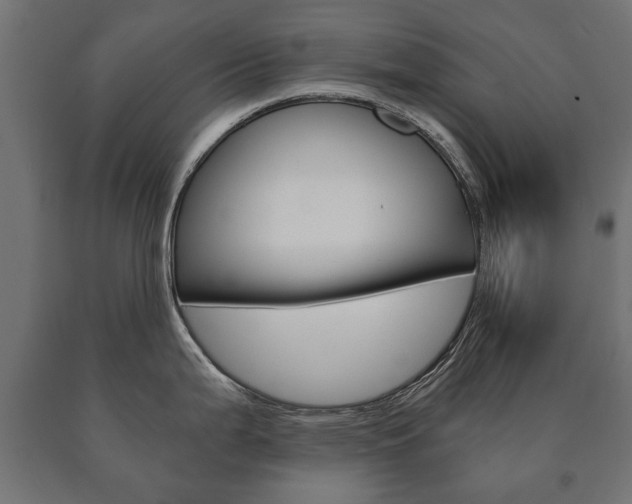 X0000090991199200708021156
