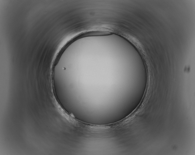 X0000090991200200708021156
