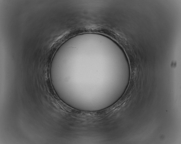 X0000090991205200708021156