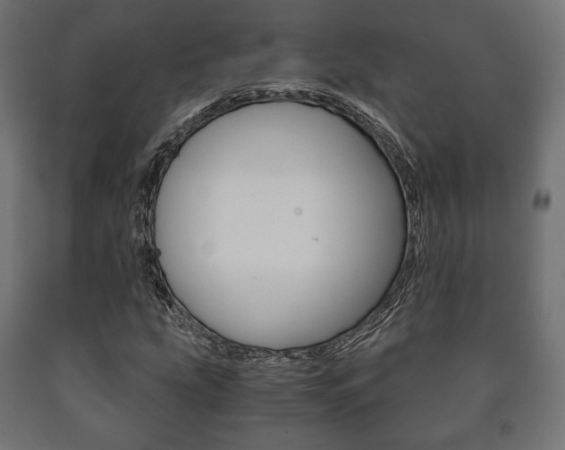 X0000090991207200708021156