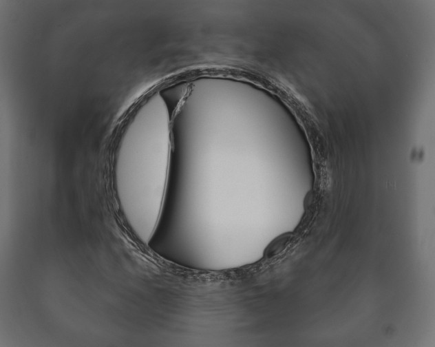 X0000090991208200708021156